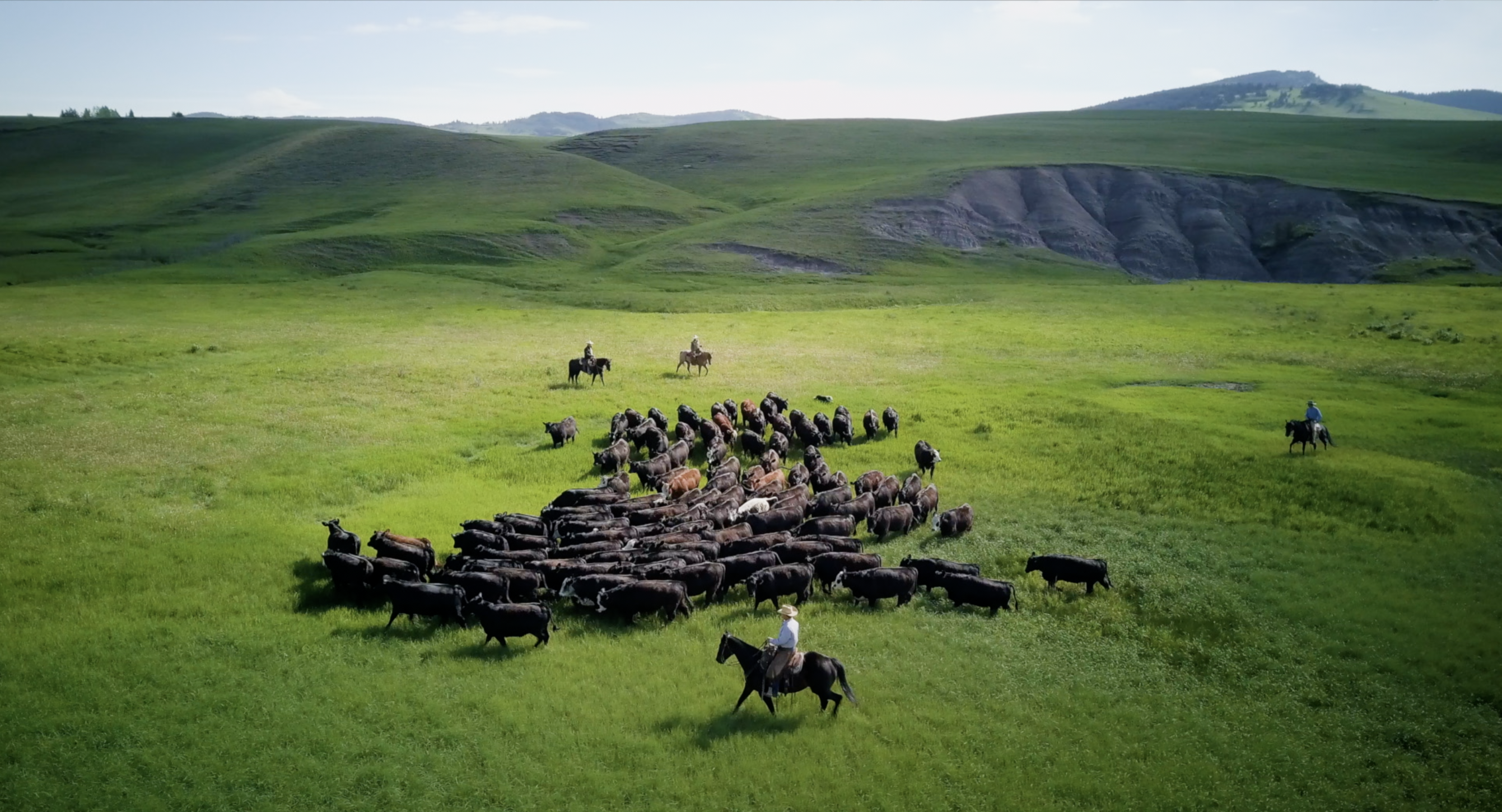 Guardians of the Grasslands